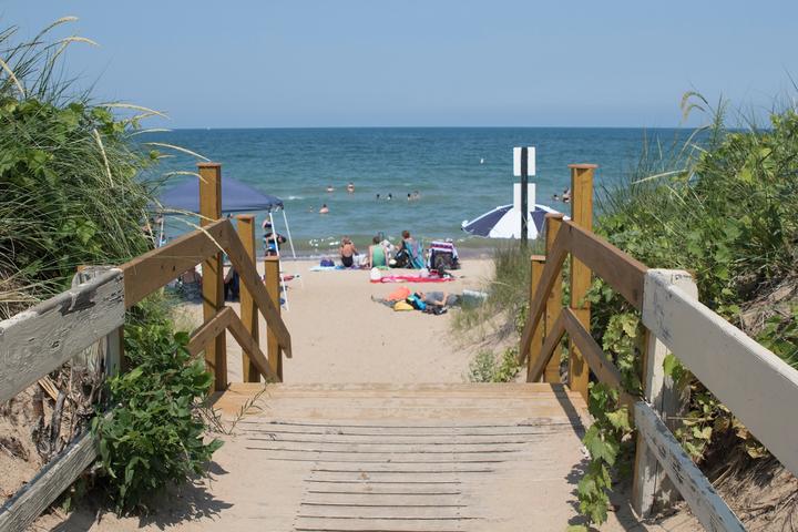 Are Dogs Allowed at Whihala Beach