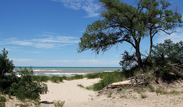 Do You Have to Pay to Park at Miller Beach